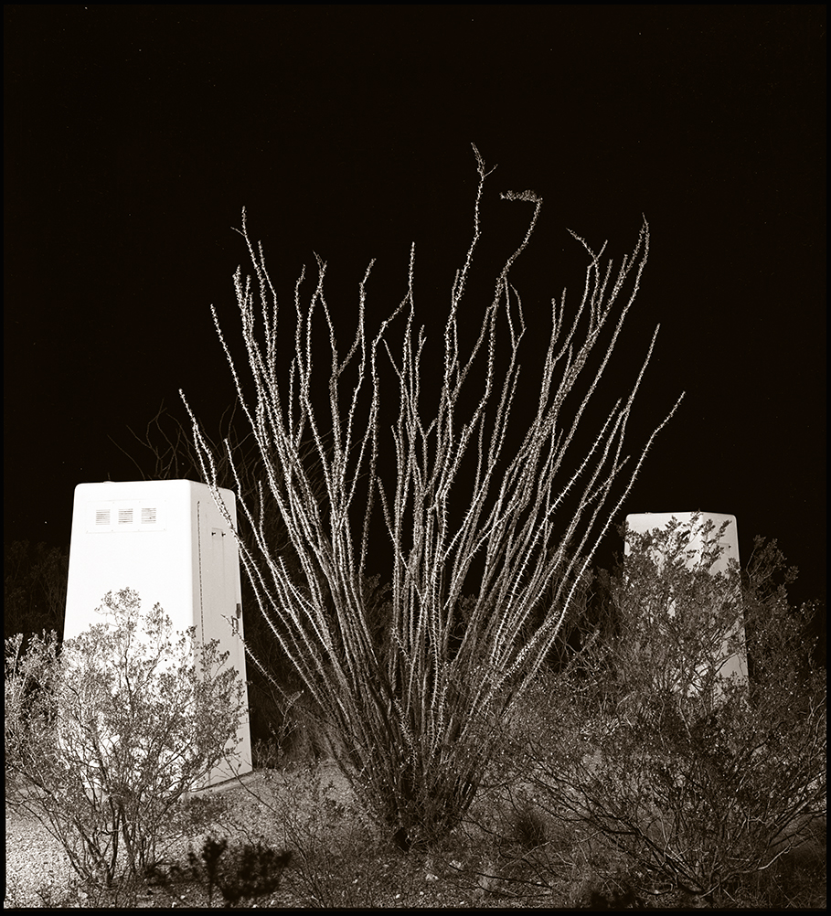 Ocotillo and Outhouses _© James H. Evans