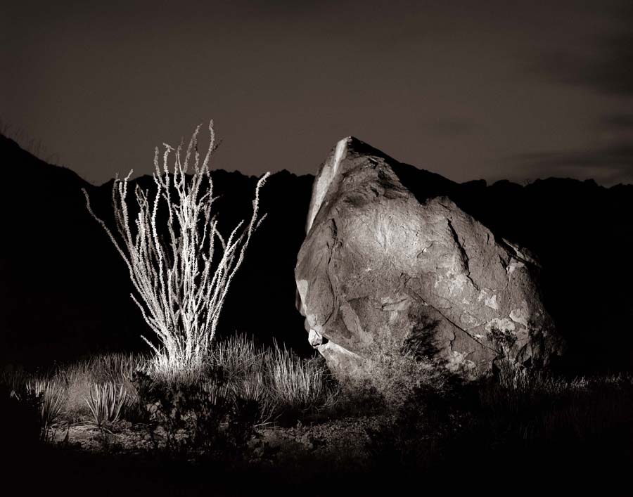 Ocotillo and Rock__© James H. Evans_Sepia