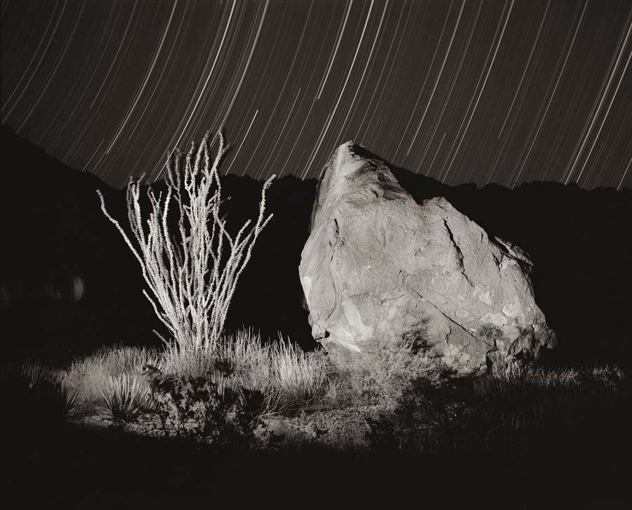 Ocotillo and Rock with StarTrails_© James H. Evans_Sepia