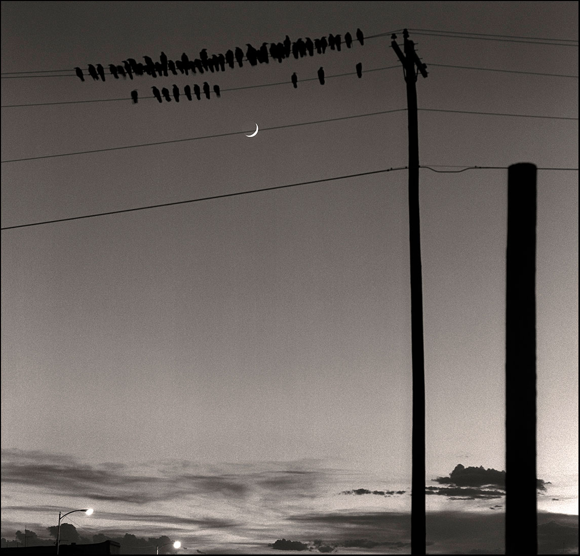 Ravens and Moon_© James H. Evans