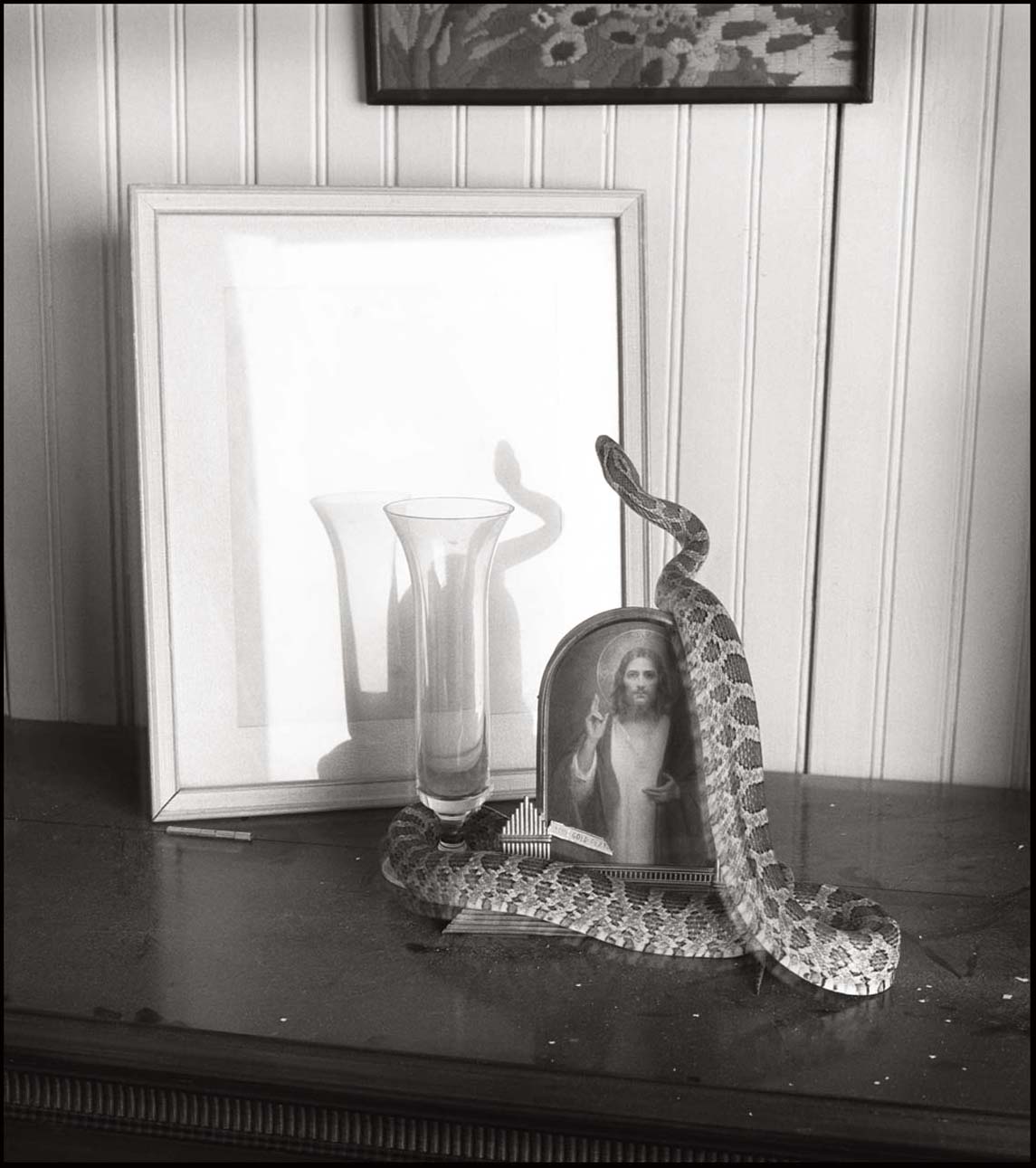 Snake and Jesus _© James H. Evans